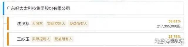 营收、净利下滑旗下电动晾衣机曾抽查不合格AG凯发成为马竞合作好太太去年前三季度(图10)