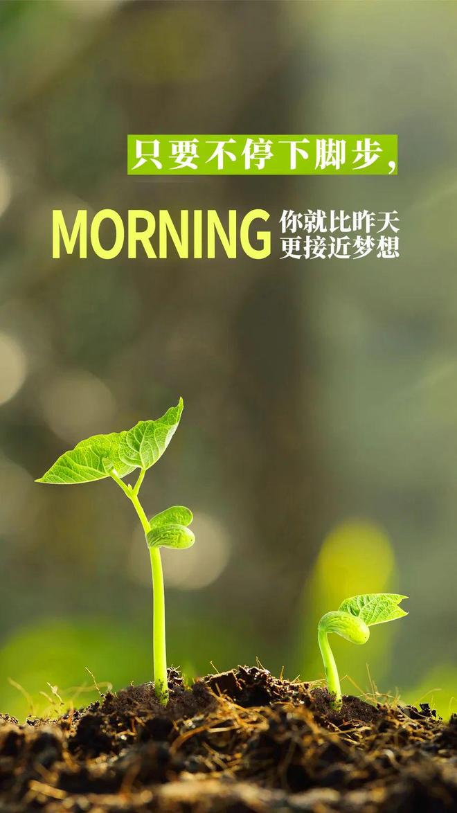 量语录积极进取乐观向上内心充满阳光的励志正能(图3)
